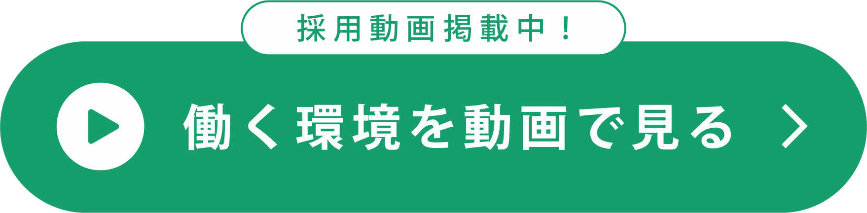 採用動画はこちら